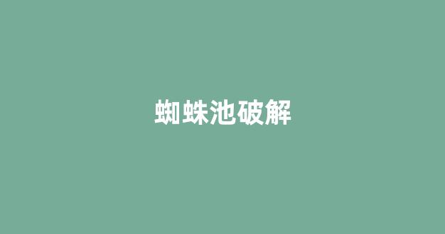 孔蜘蛛池